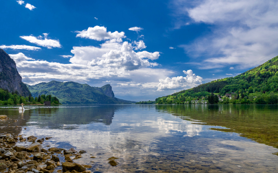 Der Mondsee im Salzkammergut mit einem Schwan im seichten Wasser und den umliegenden Bergen im Hintergrund.