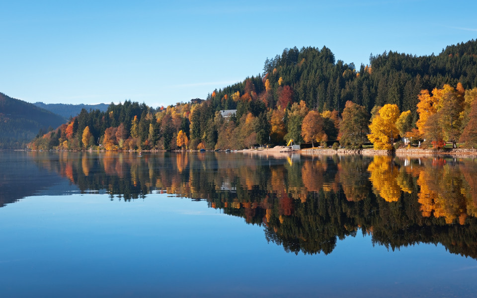Herbstwald spiegelt sich in der Oberfl&auml;che des Titisees, Deutschland
